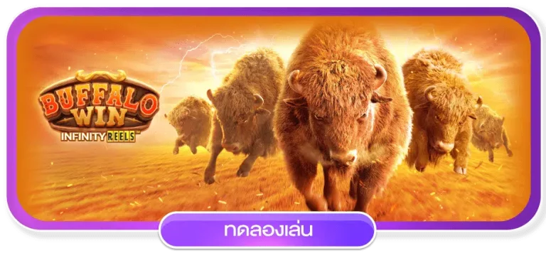 buffalo